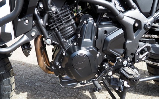 Neufahrzeug Benelli TRK 702 X - Bild 14