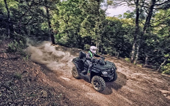 Neufahrzeug CFMOTO CFORCE 850 L DLX EPS - Bild 6