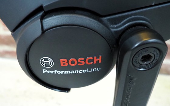 Neufahrzeug Trenoli BRENTA COMODO - Bild 4