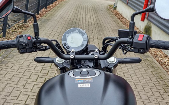 Neufahrzeug Kawasaki Eliminator 500 - Bild 10