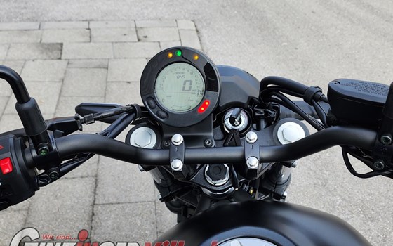 Neufahrzeug Kawasaki Eliminator 500 - Bild 8 Neufahrzeug Kawasaki Eliminator 500 - Bild 8