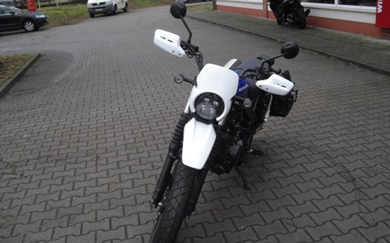 Neufahrzeug Honda CL500 - Bild 5