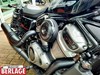 Harley-Davidson Nightster 19 Click for Detail