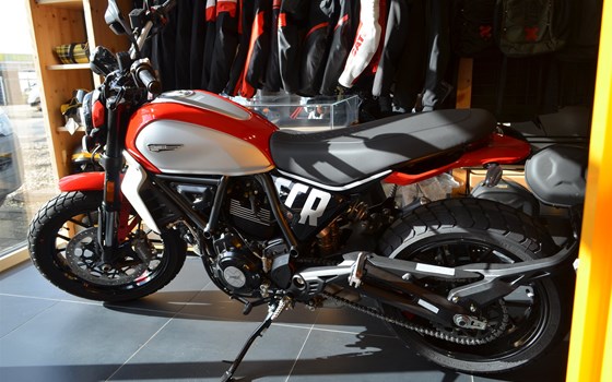 Neufahrzeug Ducati Scrambler Icon - Bild 1