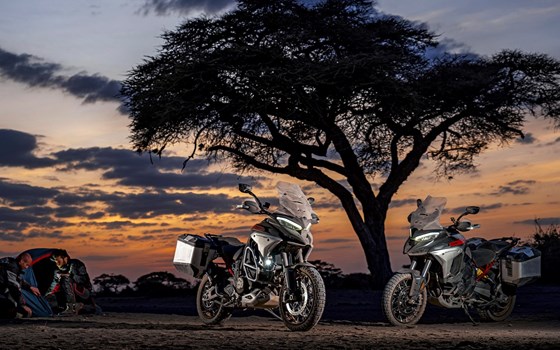 Neufahrzeug Ducati Multistrada V4 Rally - Bild 6