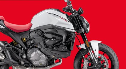 Neumotorrad Ducati Monster +