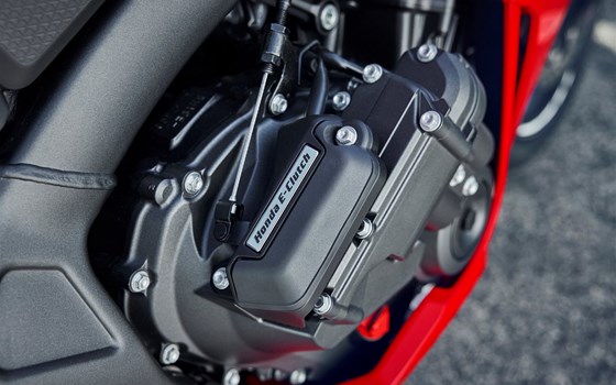 Neufahrzeug Honda CBR650R E-Clutch - Bild 2 Neufahrzeug Honda CBR650R E-Clutch - Bild 2