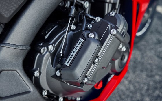 Neufahrzeug Honda CBR650R E-Clutch - Bild 3 Neufahrzeug Honda CBR650R E-Clutch - Bild 3