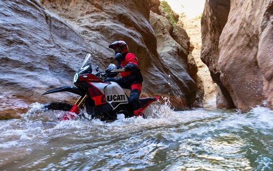 Neufahrzeug Ducati DesertX Rally - Bild 10