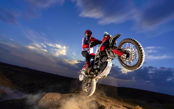 Neufahrzeug Ducati DesertX Rally - Bild 8