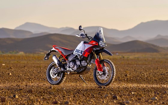 Neufahrzeug Ducati DesertX Rally - Bild 9