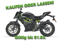 Neumotorrad Kawasaki Z125