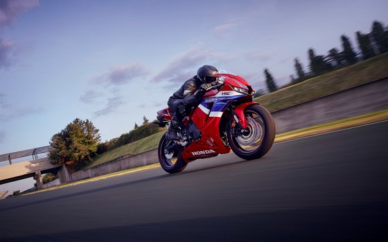 Neufahrzeug Honda CBR600RR - Bild 8