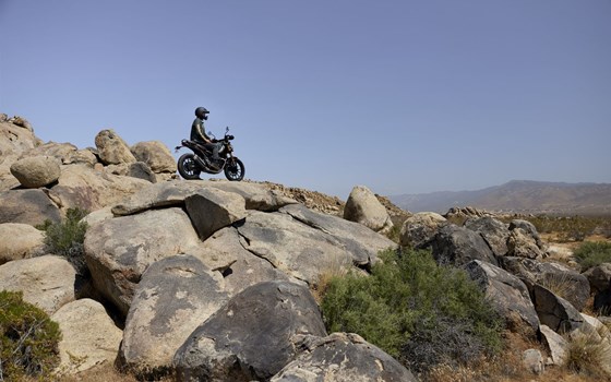 Neufahrzeug Triumph Scrambler 400 X - Bild 13