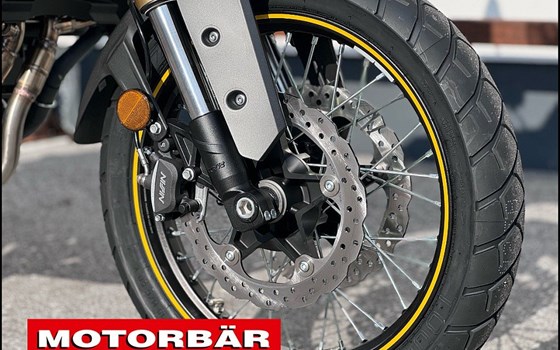Neufahrzeug Voge 500DSX - Bild 6 Neufahrzeug Voge 500DSX - Bild 6