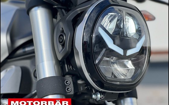 Neufahrzeug Voge Trofeo 350i ABS - Bild 8