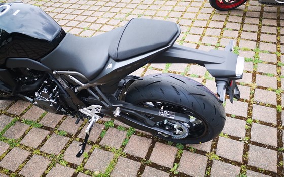 Neufahrzeug Suzuki GSX-8R - Bild 8