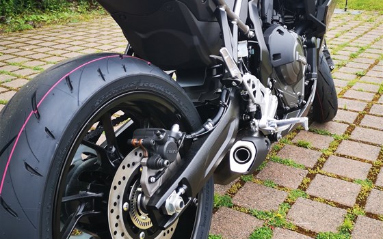 Neufahrzeug Suzuki GSX-8R - Bild 4