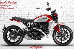 Angebot Ducati Scrambler Icon