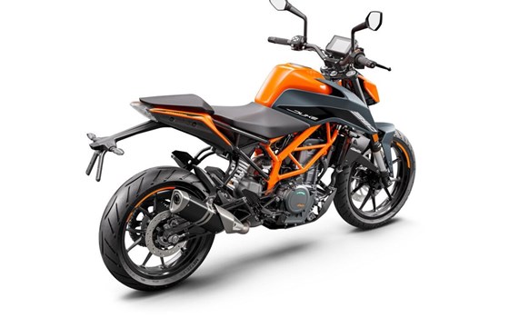 Neufahrzeug KTM 390 Duke - Bild 3