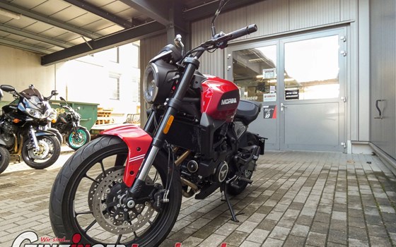 Neufahrzeug Moto Morini 6 1/2 Seiemmezzo STR - Bild 6 Neufahrzeug Moto Morini 6 1/2 Seiemmezzo STR - Bild 6