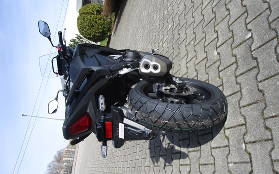 Neufahrzeug Honda NX500 - Bild 3
