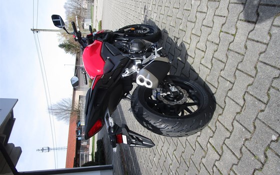 Neufahrzeug Honda CB500 Hornet - Bild 3