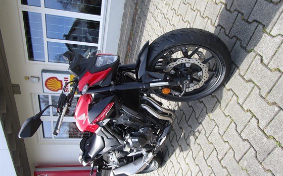 Neufahrzeug Honda CB500 Hornet - Bild 5