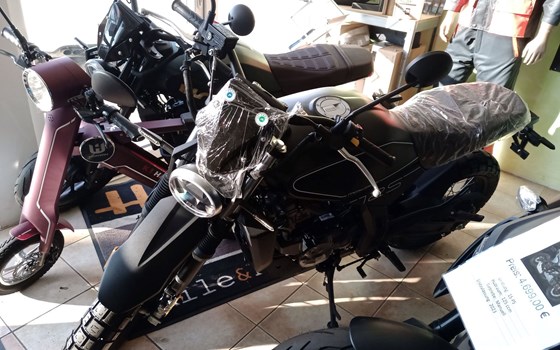 Neufahrzeug Motobi DL 125 Scrambler - Bild 2