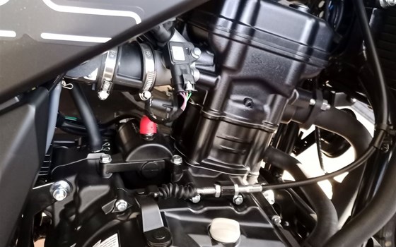 Neufahrzeug Motobi DL 125 Scrambler - Bild 8