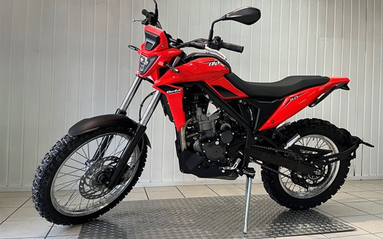 Neufahrzeug Beta Alp 4.0 - Bild 5