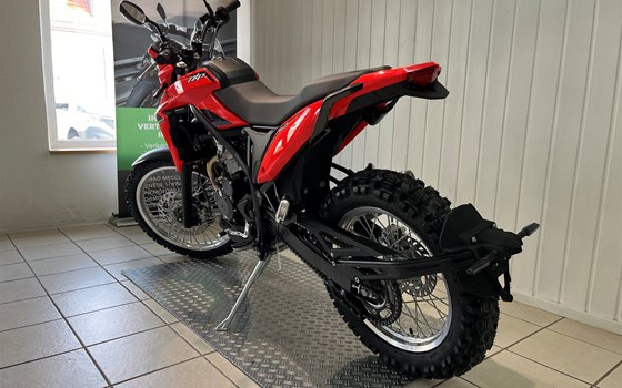 Neufahrzeug Beta Alp 4.0 - Bild 7