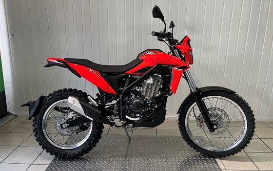 Neufahrzeug Beta Alp 4.0 - Bild 2