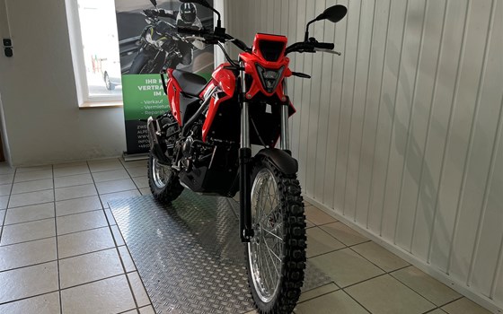 Neufahrzeug Beta Alp 4.0 - Bild 3