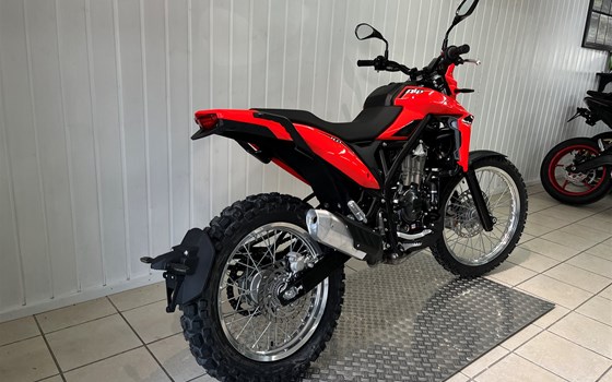 Neufahrzeug Beta Alp 4.0 - Bild 4