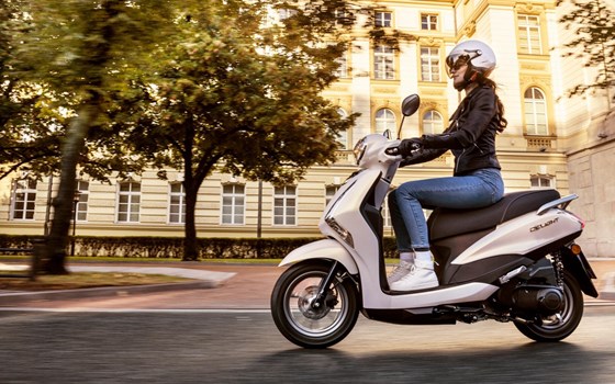Neufahrzeug Yamaha D'elight - Bild 14
