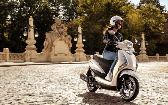 Neufahrzeug Yamaha D'elight - Bild 15