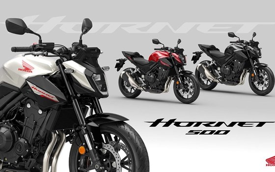 Neufahrzeug Honda CB500 Hornet - Bild 1