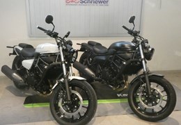 Neumotorrad Kawasaki Eliminator 600
