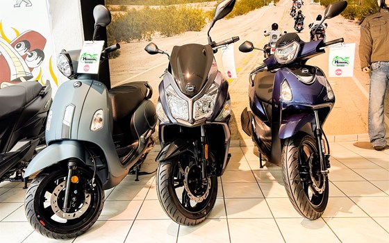 Neufahrzeug Kawasaki Z900 - Bild 16