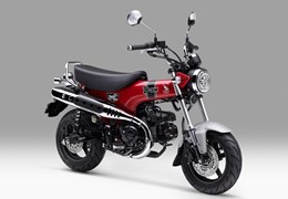 Neumotorrad Honda Dax 125