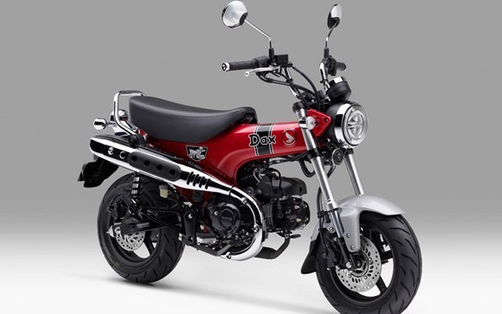 Neufahrzeug Honda Dax 125 - Bild 1