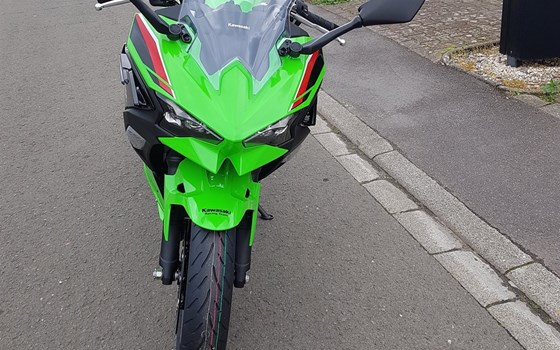 Neufahrzeug Kawasaki Ninja 500 SE - Bild 3