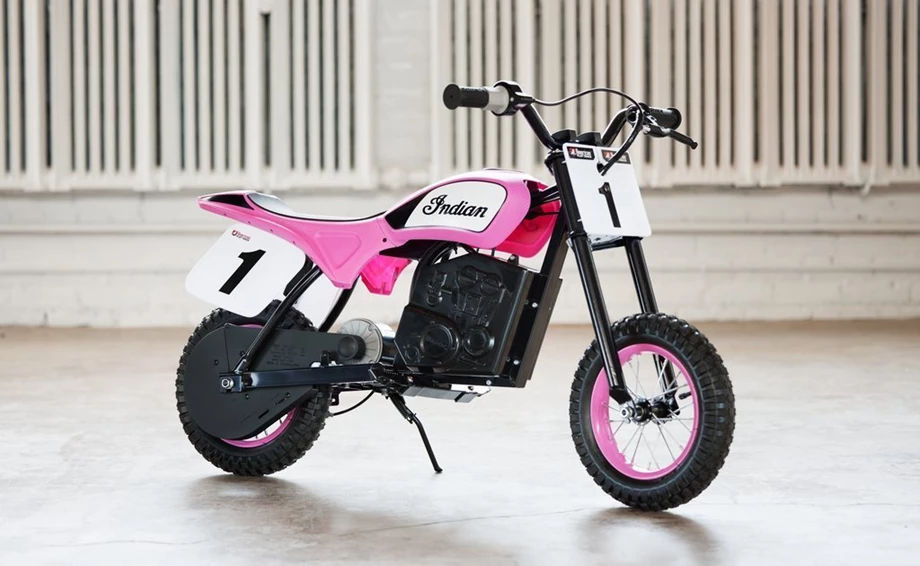 Angebot Indian FTR Bild 1: Angebot Indian FTR