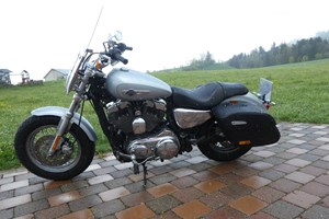 Angebot Harley-Davidson Sportster XL 1200C Custom