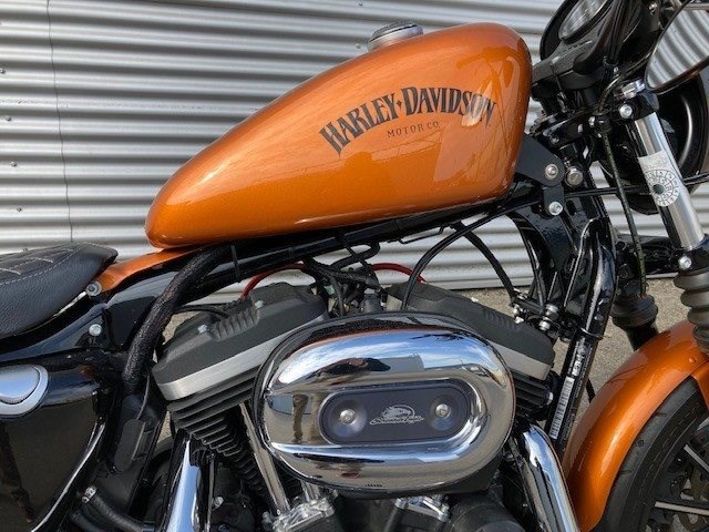 Harley-Davidson Sportster XL 883 N Iron (Amber Whiskey) - Bild 2