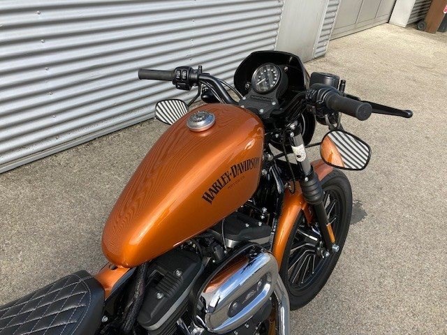 Harley-Davidson Sportster XL 883 N Iron (Amber Whiskey) - Bild 5