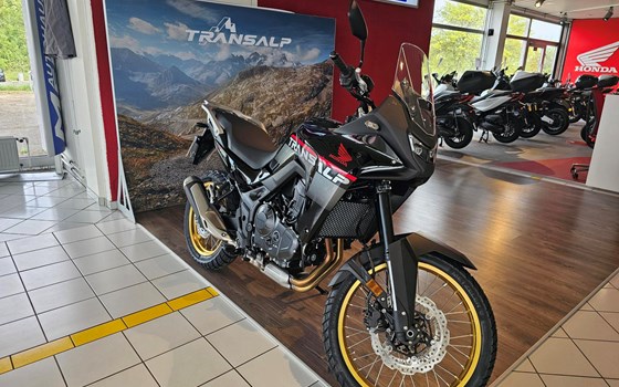 Neufahrzeug Honda XL750 Transalp - Bild 3