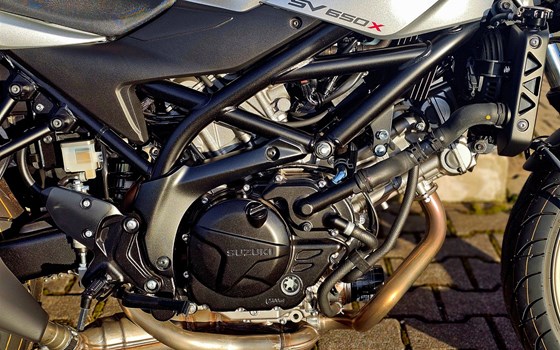 Neufahrzeug Suzuki SV650X - Bild 3