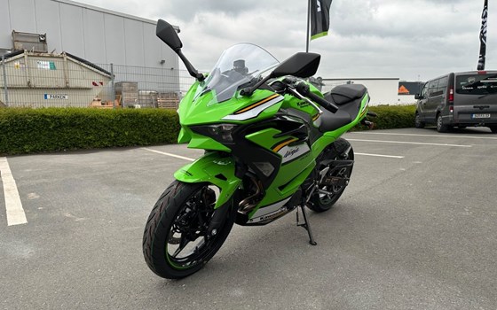 Neufahrzeug Kawasaki Ninja 500 SE - Bild 3